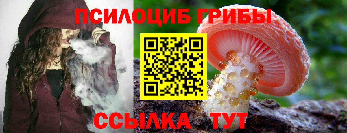 Великий Новгород  Псилоцибиновые грибы Cubensis  Вход с VPN  Галлюциногенные грибы Psilocybe 